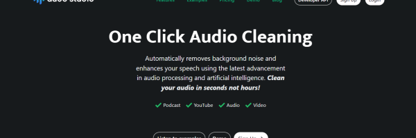 Audo AI