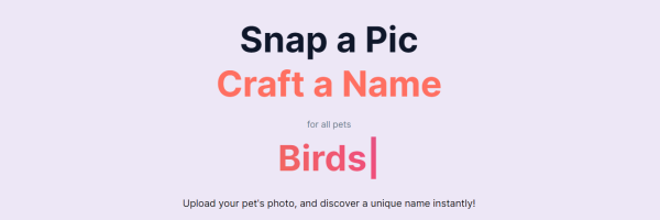 Pic a Pet Name