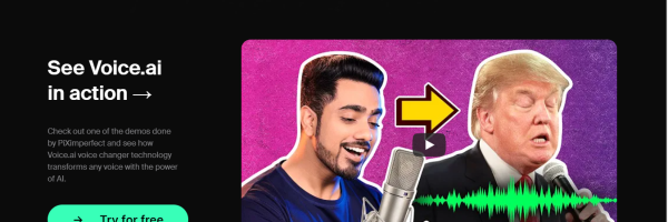 Voice AI